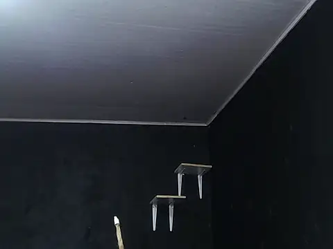 Liastark online show from 11.30.25