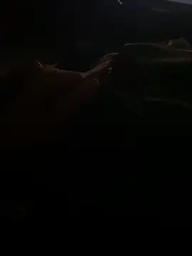 Snapshot of Joven_Modelo chatting on 10.13.25 Joven Modelo online show from 10.13.25