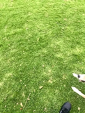 Snapshot of Joven_Modelo chatting on 10.21.25 Joven Modelo online show from 10.21.25