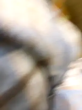 Snapshot of _xiaoniaojiang chatting on 10.15.25  xiaoniaojiang online show from 10.15.25