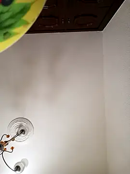 DEWOLT18 online show from 02.08.26