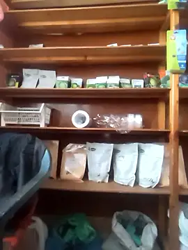 szabi1995 online show from 01.10.26