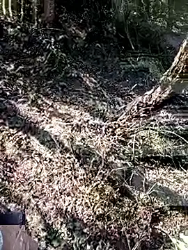 228fucker online show from 01.08.26