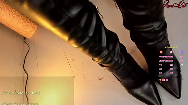 Snapshot of ana_cat chatting on 03.11.26 ana cat online show from 03.11.26