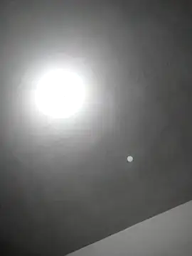 checheludo23 online show from 02.25.26