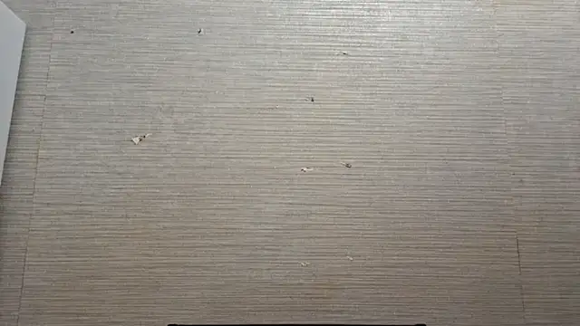 AstraVale online show from 11.03.25