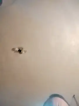 james81mzmga online show from 11.15.25