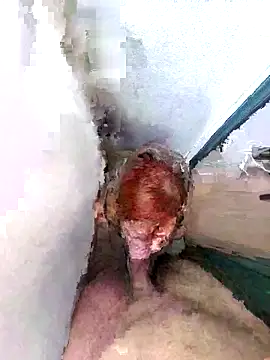 PorcelainDoll1 online show from 01.14.26