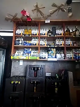 catalella16 online show from 03.10.26