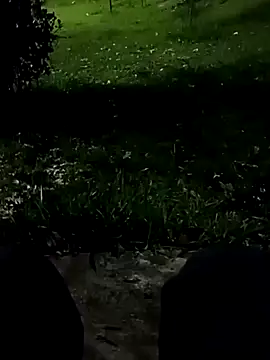 roludao fun online show from 11.10.25