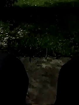 roludao fun online show from 11.11.25