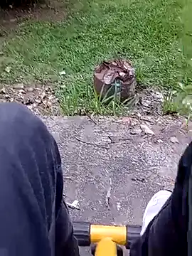 roludao fun online show from 02.20.26