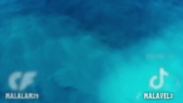 Nalan   online show from 02.10.26