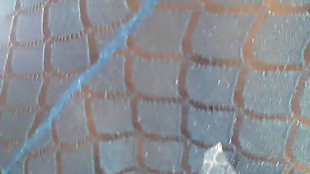 Hotcougar online show from 03.08.26