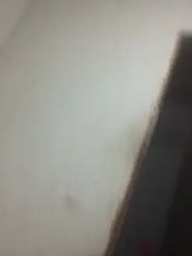 Snapshot of _Anal- chatting on 10.18.25  Anal- online show from 10.18.25