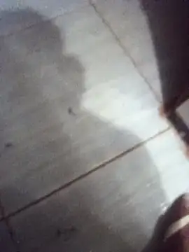 24cnmmm online show from 04.03.26