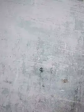 thanuja- online show from 10.23.25