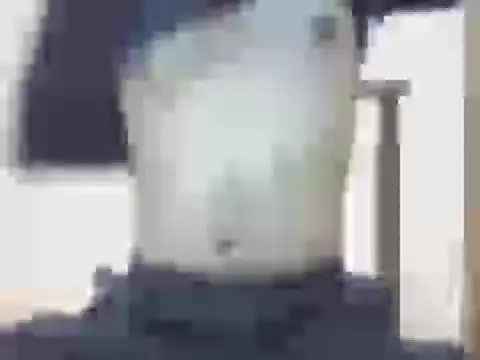 nick2445 online show from 03.22.26