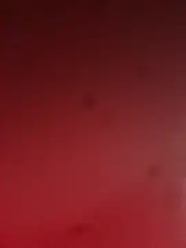 pedro14ARh online show from 10.24.25