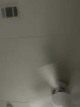 D13ON3L online show from 11.08.25