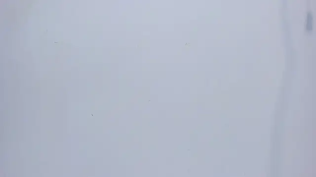 mirandaduboiss online show from 04.13.26