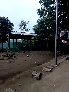 Irin jo online show from 04.16.26