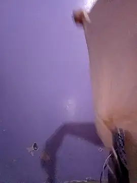 ArabianRose  online show from 03.10.26