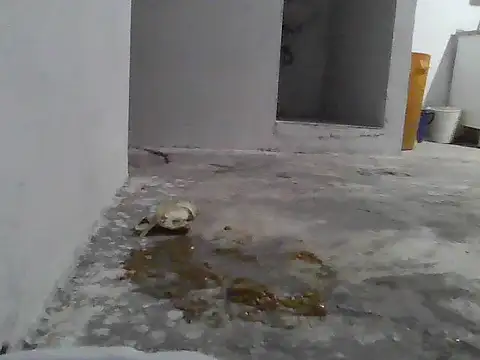 jupiter 333 online show from 01.08.26