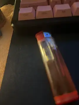 Snapshot of rdc55555 chatting on 10.24.25 rdc55555 online show from 10.24.25