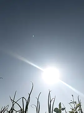 devil boy 0909 online show from 03.05.26