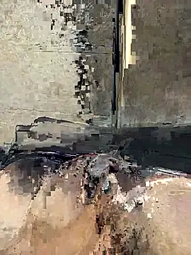 Telugus online show from 03.25.26