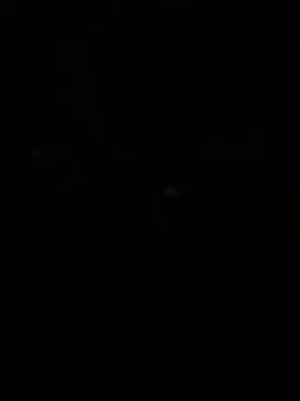 WildNour online show from 04.13.26