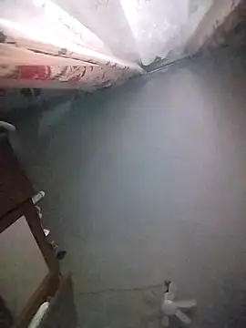 Lana-murr online show from 12.20.25