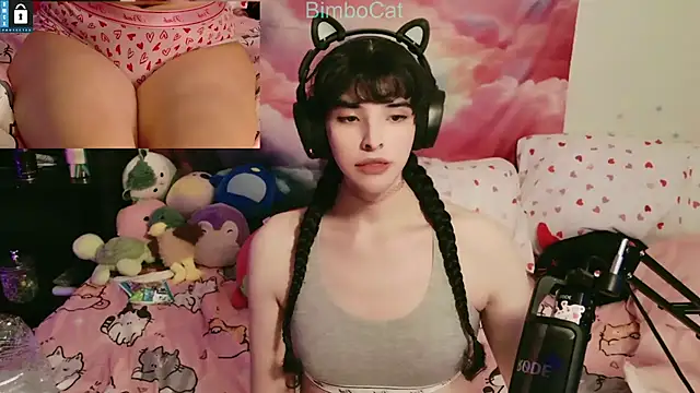 BimboCat online show from 11.01.25