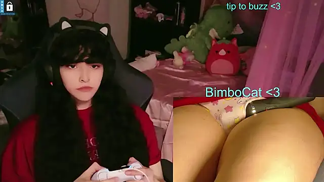 BimboCat online show from 06.11.26