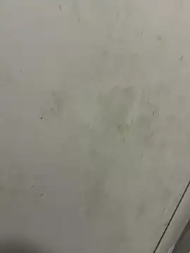 Isamperry69 online show from 10.31.25