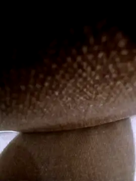 Snapshot of pino870 chatting on 03.03.26 pino870 online show from 03.03.26