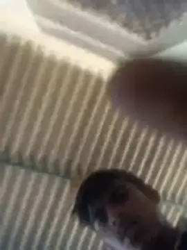 Pallu Asha online show from 03.02.26