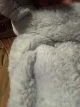 bi-bo123 online show from 01.08.26