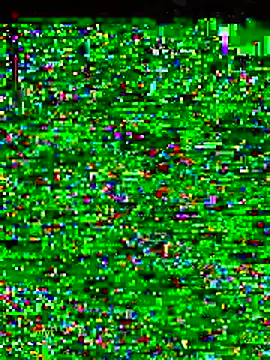 gatitaamelosaa7 online show from 02.19.26