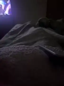 gatitaamelosaa7 online show from 02.24.26