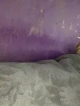 hotman29 online show from 11.26.25