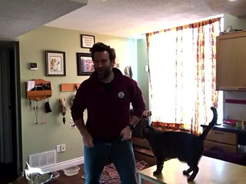 RockHammercock online show from 01.15.26