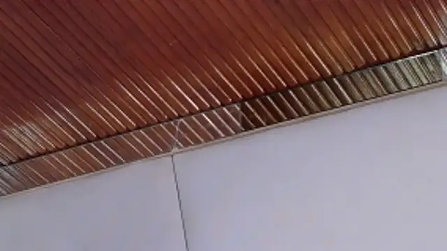 LannyShell online show from 02.26.26