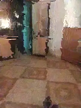 7obi 7obi online show from 11.21.25