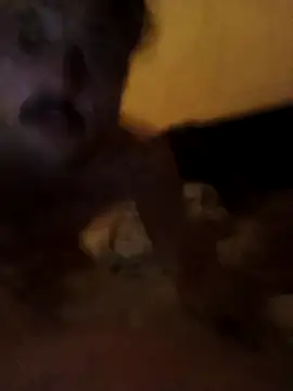 putosemlimiti online show from 11.08.25