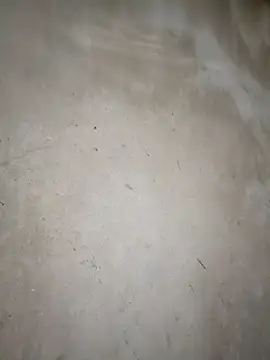 blonde blg online show from 03.14.26