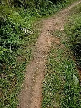 Cloud-wh online show from 02.24.26