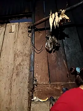 -Chua-90 online show from 02.19.26