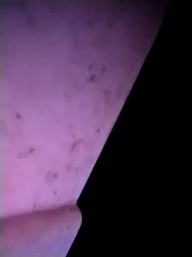 m-mbae online show from 02.25.26